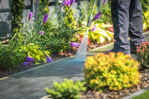 Best House Exterior Washing  in Port Jefferson, NY