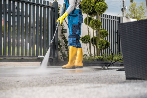 Best Dumpster Area Cleaning  in Port Jefferson, NY